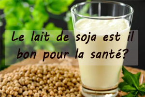 Bienfaits et risques du lait de soja pour la santé